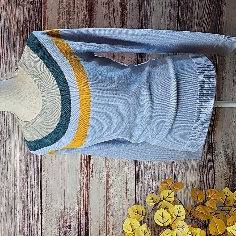 NEW SONOMA LIGHT BLUE GOLD ACCENT LONG SLEEVE PULLOVER CREWNECK SWEATER